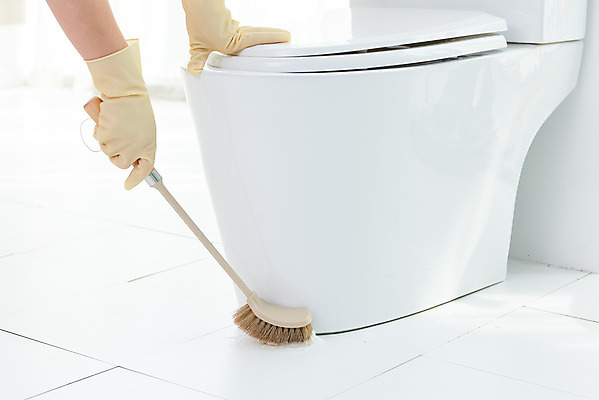 포토 JPG 스튜디오촬영 손 여자 40대 중년 장갑 가사 주택 실내 한명 들기 신체부위 청결 한국인 욕실 위생 청소도구 청소 화장실 변기 닦기 수세미 대청소 국내포토 1 잡화 모션 사람 동양인 성인 내부 건물 도구 파일형식