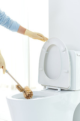 포토 JPG 스튜디오촬영 손 여자 40대 중년 장갑 가사 주택 실내 한명 들기 신체부위 청결 한국인 욕실 위생 청소도구 청소 화장실 변기 닦기 수세미 대청소 국내포토 1 잡화 모션 사람 동양인 성인 내부 건물 도구 파일형식