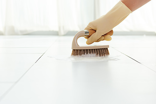 포토 JPG 스튜디오촬영 손 여자 40대 중년 장갑 가사 주택 실내 한명 청결 한국인 욕실 위생 청소도구 청소 세제 타일 화장실 수세미 대청소 국내포토 1 잡화 사람 동양인 성인 내부 건물 신체부위 도구 파일형식