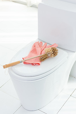 포토 JPG 스튜디오촬영 장갑 가사 주택 실내 사람없음 청결 욕실 위생 청소도구 청소 화장실 고무장갑 변기 수세미 대청소 국내포토 잡화 내부 건물 도구 고무 파일형식