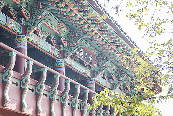 포토 JPG 주간 한국전통 여행 고건축 유적지 자연 풍경 사람없음 야외 관광지 문화재 가을 한국사 충청남도 논산 계백장군유적전승지 황산루 국내포토 자연요소 전통 건축물 계절 한국 역사 생태계 충청도 파일형식