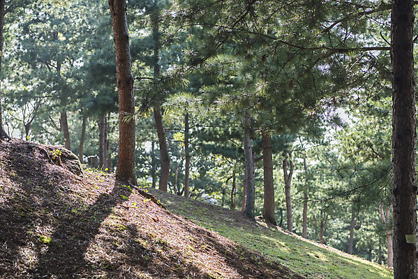 포토 JPG 주간 한국전통 여행 고건축 유적지 자연 풍경 사람없음 야외 관광지 문화재 가을 한국사 충청남도 논산 계백장군유적전승지 국내포토 자연요소 전통 건축물 계절 한국 역사 생태계 충청도 파일형식