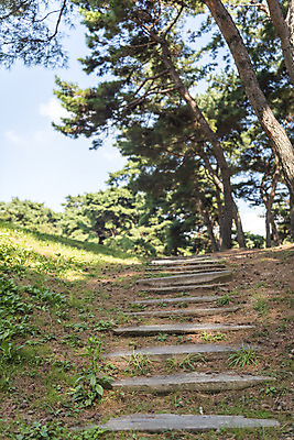포토 JPG 주간 한국전통 여행 고건축 유적지 자연 풍경 사람없음 야외 관광지 산책로 문화재 가을 한국사 충청남도 논산 계백장군유적전승지 국내포토 자연요소 전통 건축물 계절 길 한국 역사 생태계 충청도 파일형식