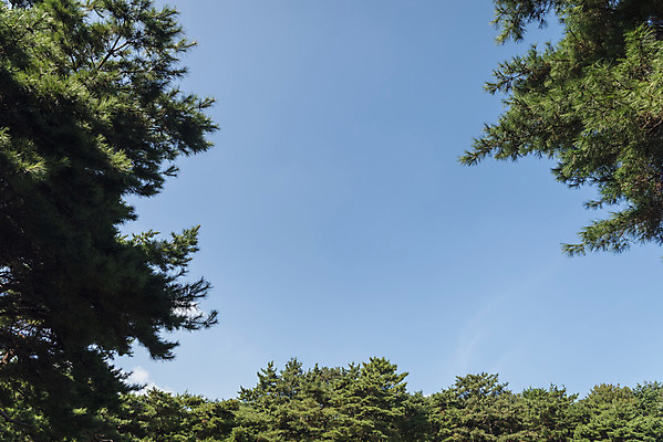 포토 JPG 주간 한국전통 여행 고건축 유적지 자연 하늘 풍경 사람없음 야외 관광지 문화재 가을 한국사 충청남도 논산 계백장군유적전승지 국내포토 자연요소 전통 건축물 계절 한국 역사 생태계 충청도 파일형식