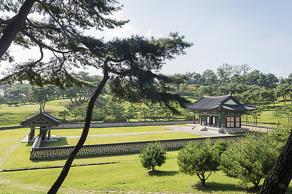 포토 JPG 주간 한국전통 여행 고건축 유적지 자연 풍경 사람없음 야외 관광지 문화재 가을 한국사 충청남도 논산 계백장군유적전승지 충장사 국내포토 자연요소 전통 건축물 계절 한국 역사 생태계 충청도 파일형식