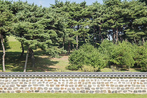 포토 JPG 주간 한국전통 여행 고건축 유적지 자연 풍경 사람없음 야외 관광지 문화재 가을 한국사 충청남도 논산 계백장군유적전승지 충장사 국내포토 자연요소 전통 건축물 계절 한국 역사 생태계 충청도 파일형식