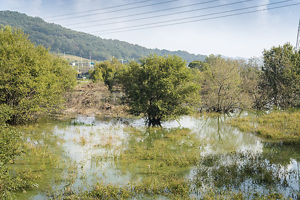 포토 JPG 호수 여행 자연 풍경 사람없음 가을풍경 가을 논산 탑정호 국내포토 계절 충청남도 생태계 파일형식 가을_계절