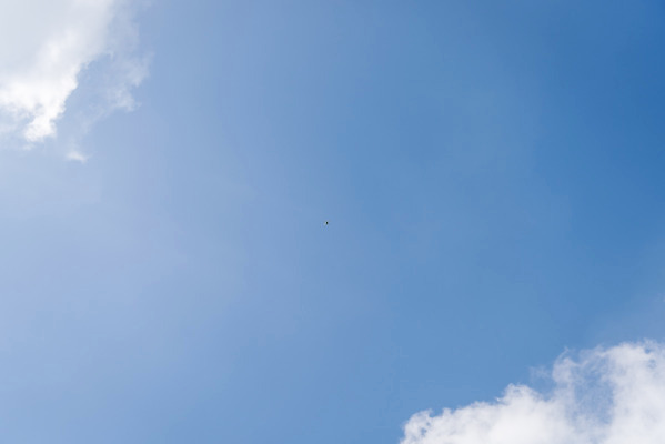 포토 JPG 여행 자연 풍경 사람없음 가을 논산 드론 국내포토 계절 충청남도 생태계 파일형식