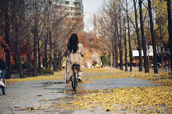 포토 JPG 주간 전신 커플 여자 남자 낙엽 데이트 자연 서울 20대 성인 야외 두명 뒷모습 자전거 다정 한국인 가을 숲 성인만 서울숲 국내포토 자연요소 계절 뷰포인트 컨셉 잎 관계 한국 사람 동양인 청년 바이크 생태계 파일형식
