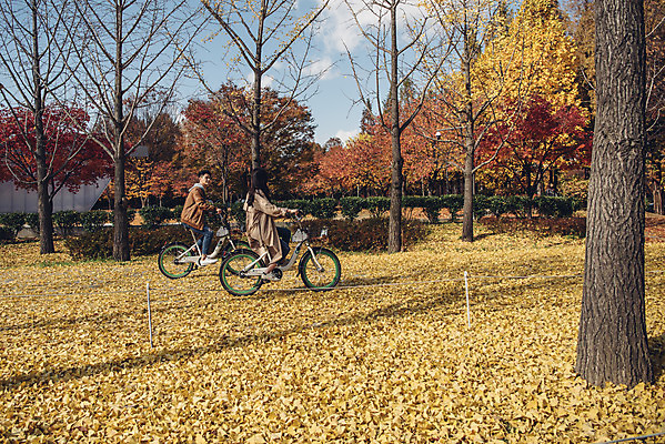 포토 JPG 주간 전신 커플 여자 남자 낙엽 데이트 자연 서울 20대 성인 야외 두명 옆모습 자전거 다정 한국인 가을 숲 성인만 서울숲 국내포토 자연요소 계절 뷰포인트 컨셉 잎 관계 한국 사람 동양인 청년 바이크 생태계 파일형식