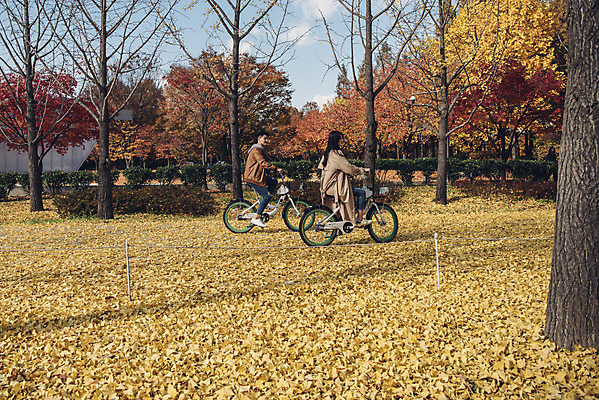 포토 JPG 주간 전신 커플 여자 남자 낙엽 데이트 자연 서울 20대 성인 야외 두명 옆모습 자전거 다정 한국인 가을 숲 성인만 서울숲 국내포토 자연요소 계절 뷰포인트 컨셉 잎 관계 한국 사람 동양인 청년 바이크 생태계 파일형식