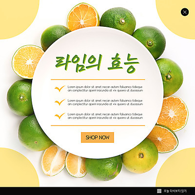 PSD 템플릿 ZIP 웹템플릿 팝업 이벤트팝업 웹팝업 사람없음 연두색 라임 빅팝업 이미지템플릿 과일 초록색 파일형식