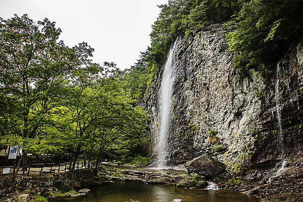 포토 JPG 주간 여행 자연 산 한국 풍경 사람없음 야외 초록색 여름 폭포 전라북도 국내여행 순창 강천산 병풍폭포 국내포토 자연요소 계절 아시아 컬러 전라도 생태계 파일형식