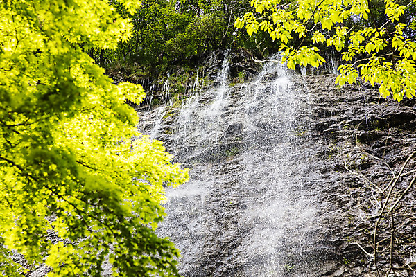 포토 JPG 주간 여행 자연 산 한국 풍경 사람없음 야외 초록색 여름 폭포 전라북도 국내여행 순창 강천산 병풍폭포 국내포토 자연요소 계절 아시아 컬러 전라도 생태계 파일형식