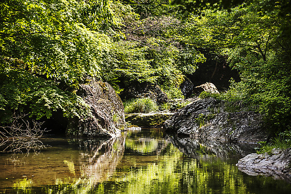 포토 JPG 주간 여행 자연 산 한국 풍경 사람없음 야외 초록색 여름 계곡 폭포 바위 전라북도 국내여행 순창 강천산 국내포토 자연요소 계절 아시아 컬러 돌_바위 전라도 생태계 파일형식