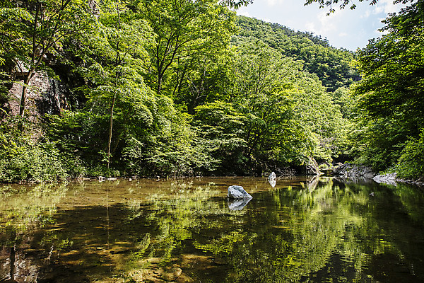 포토 JPG 주간 여행 자연 산 한국 풍경 사람없음 야외 초록색 여름 계곡 폭포 바위 전라북도 국내여행 순창 강천산 국내포토 자연요소 계절 아시아 컬러 돌_바위 전라도 생태계 파일형식
