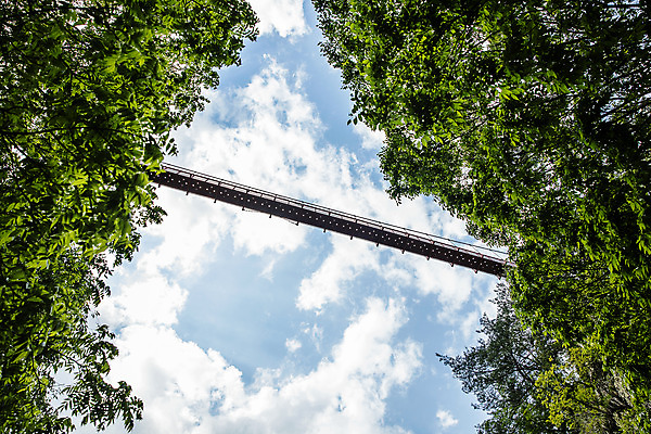 포토 JPG 주간 나무 구름 로우앵글 여행 자연 하늘 산 한국 풍경 사람없음 야외 초록색 여름 산책로 전라북도 국내여행 순창 현수교 가교 강천산 국내포토 자연요소 식물 건축물 계절 아시아 길 뷰포인트 컬러 다리_건축물 전라도 생태계 파일형식