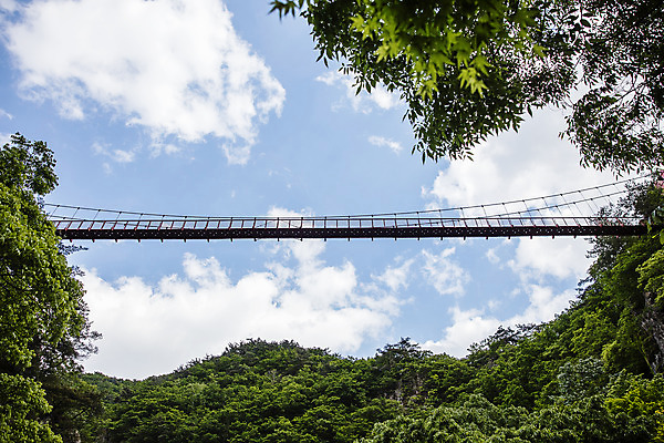 포토 JPG 주간 나무 구름 로우앵글 여행 자연 하늘 산 한국 풍경 사람없음 야외 초록색 여름 산책로 전라북도 국내여행 순창 현수교 가교 강천산 국내포토 자연요소 식물 건축물 계절 아시아 길 뷰포인트 컬러 다리_건축물 전라도 생태계 파일형식