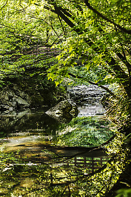 포토 JPG 주간 여행 자연 산 한국 풍경 사람없음 야외 초록색 여름 계곡 폭포 바위 전라북도 국내여행 순창 강천산 국내포토 자연요소 계절 아시아 컬러 돌_바위 전라도 생태계 파일형식