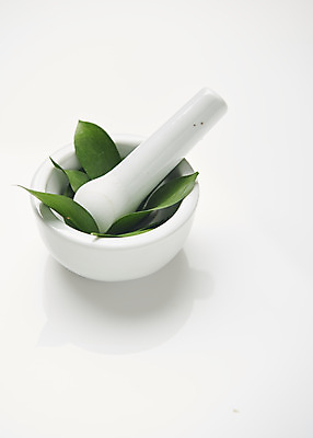 포토 JPG 스튜디오촬영 식물 잎 실내 실험기구 사람없음 오브젝트 흰배경 막자사발 국내포토 과학 백그라운드 내부 흰색 사발 파일형식