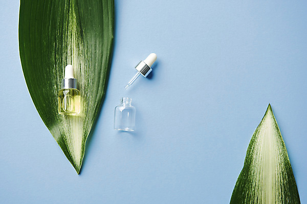 포토 JPG 스튜디오촬영 식물 잎 실내 사람없음 하이앵글 뷰티 화장품 오브젝트 파란배경 공병 플랫레이 국내포토 뷰포인트 백그라운드 내부 파란색 플랫 병_담는 파일형식