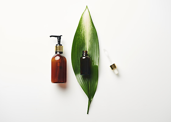 포토 JPG 스튜디오촬영 식물 잎 실내 사람없음 하이앵글 뷰티 화장품 오브젝트 흰배경 공병 플랫레이 국내포토 뷰포인트 백그라운드 내부 흰색 플랫 병_담는 파일형식