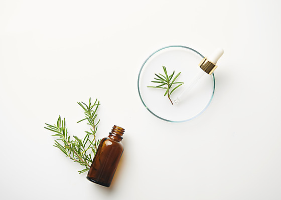 포토 JPG 스튜디오촬영 식물 잎 실내 실험기구 사람없음 하이앵글 뷰티 화장품 오브젝트 흰배경 공병 샬레 플랫레이 국내포토 뷰포인트 과학 백그라운드 내부 흰색 플랫 병_담는 파일형식