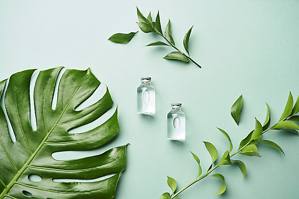 포토 JPG 스튜디오촬영 식물 잎 실내 사람없음 하이앵글 뷰티 화장품 오브젝트 공병 몬스테라 플랫레이 초록배경 국내포토 뷰포인트 백그라운드 내부 초록색 플랫 병_담는 파일형식