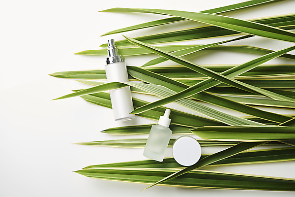 포토 JPG 스튜디오촬영 식물 잎 실내 사람없음 하이앵글 뷰티 화장품 오브젝트 흰배경 공병 플랫레이 국내포토 뷰포인트 백그라운드 내부 흰색 플랫 병_담는 파일형식