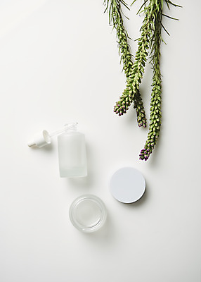 포토 JPG 스튜디오촬영 식물 실내 사람없음 하이앵글 뷰티 화장품 오브젝트 흰배경 공병 플랫레이 국내포토 뷰포인트 백그라운드 내부 흰색 플랫 병_담는 파일형식