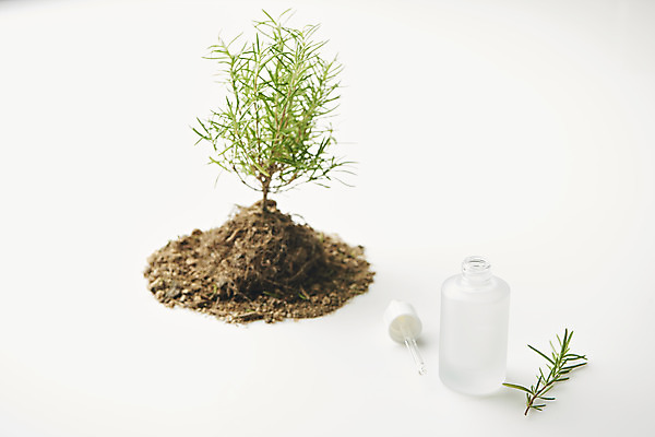 포토 JPG 스튜디오촬영 식물 잎 실내 사람없음 뷰티 흙 화장품 오브젝트 흰배경 공병 국내포토 백그라운드 내부 흰색 병_담는 파일형식