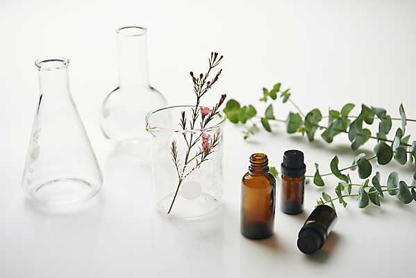 포토 JPG 스튜디오촬영 식물 꽃 잎 실내 사람없음 뷰티 화장품 오브젝트 흰배경 비커 삼각플라스크 드라이플라워 공병 국내포토 백그라운드 실험기구 내부 흰색 플라스크 병_담는 파일형식