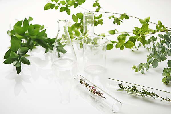 포토 JPG 스튜디오촬영 식물 잎 실내 실험기구 사람없음 뷰티 화장품 오브젝트 시험관 흰배경 비커 삼각플라스크 공병 국내포토 과학 백그라운드 내부 흰색 플라스크 병_담는 파일형식