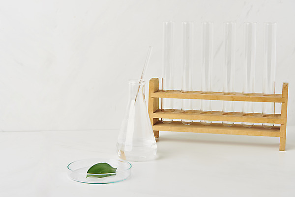 포토 JPG 스튜디오촬영 식물 잎 실내 실험기구 사람없음 뷰티 오브젝트 시험관 흰배경 삼각플라스크 샬레 국내포토 과학 백그라운드 내부 흰색 플라스크 파일형식