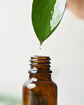 포토 JPG 스튜디오촬영 식물 잎 실내 실험기구 근접촬영 사람없음 아웃포커스 뷰티 화장품 물방울 오브젝트 흰배경 공병 국내포토 뷰포인트 과학 백그라운드 촬영기법 내부 흰색 병_담는 파일형식