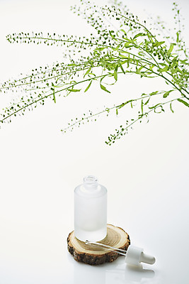 포토 JPG 스튜디오촬영 식물 잎 실내 사람없음 뷰티 화장품 오브젝트 흰배경 공병 우드코스터 국내포토 백그라운드 내부 흰색 병_담는 파일형식 코스터