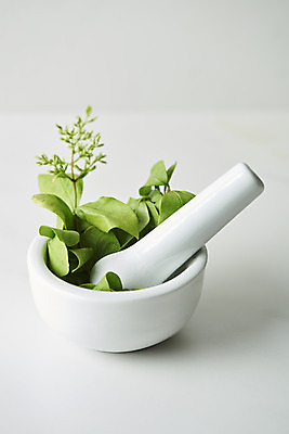 포토 JPG 스튜디오촬영 식물 잎 실내 실험기구 사람없음 뷰티 화장품 오브젝트 흰배경 막자사발 공병 국내포토 과학 백그라운드 내부 흰색 사발 병_담는 파일형식