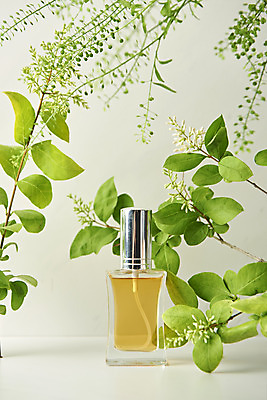 포토 JPG 스튜디오촬영 식물 꽃 잎 실내 사람없음 뷰티 화장품 향수 오브젝트 흰배경 국내포토 백그라운드 내부 흰색 파일형식