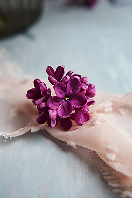 포토 JPG 해외이미지 식물 공원 꽃잎 꽃 행복 꽃다발 백그라운드 잎 꽃무늬 자연 기술 사람없음 정원 맑음 보라색 봄 성장 벚꽃 나뭇가지 개화 행운 재산 제비꽃 순수 깃털 심플 엽서 아로마 5 라일락 내추럴 해외202008 관능적 해외포토 나무 계절 공공시설 감정 컬러 컨셉 무늬 날씨 금융 숫자 편지 생태계 파일형식