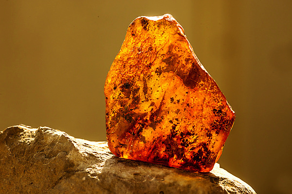 포토 JPG 해외이미지 자연 사람없음 빛 주황색 투명 보석 화석 앰버 해외포토 컬러 광석 생태계 파일형식