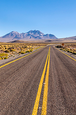 포토 JPG 해외이미지 동물 여행 백그라운드 자연 하늘 산 건조 풍경 사람없음 야외 빨간색 초록색 여름 계곡 미국 일몰 사막 남아메리카 화산 칠레 남쪽 볼리비아 전국 해외202008 해외포토 계절 컬러 북아메리카 아메리카 노을 방향 생태계 파일형식