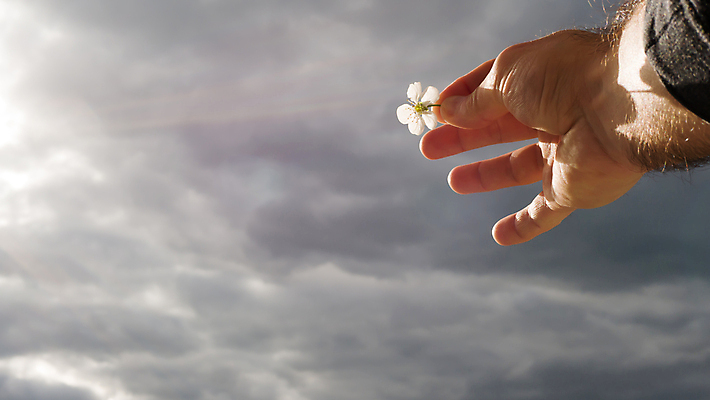 포토 JPG 해외이미지 식물 템플릿 디자인 배너 꽃잎 꽃 포스터 분홍색 꽃다발 곤충 결혼 백그라운드 꽃무늬 패턴 비즈니스 자연 벽지 추상 발렌타인데이 미술 사람없음 그래픽 장식 컬러풀 유행 정원 봄 낭만 수확 덮개 벚꽃 직물 원형 발표 우아함 그림 질감 복고 부드러움 손그림 광택 엘리먼트 특별함 스타일 해외202008 해외포토 도형 동물 계절 컬러 컨셉 무늬 농업 데이이벤트 문화예술 이벤트 뚜껑 감각 생태계 파일형식