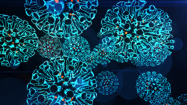 포토 JPG 해외이미지 여행 백그라운드 컨셉 지도 돈 비즈니스 건강 경고 안전 사람없음 금융 경제 세계 글로벌 3D 시장 바이러스 보호 질병 연결 접속 위험 심볼 보안 투자 감염 시스템 엘리먼트 인플루엔자 전국 전염병 해외202008 해외포토 의학 재산 디지털합성 파일형식