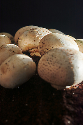 포토 JPG 해외이미지 식물 라이프스타일 계절 음식 백그라운드 다이어트 채소 재료 부분 건강 사람없음 주방 식사 버섯 흰색 신선 시장 맛 수프 자르기 먹기 향신료 흰배경 유기농 질감 내추럴 고립 곰팡이 그물버섯 단백질 식용 채식주의자 세련 비건 해외202008 해외포토 웰빙 컬러 컨셉 모션 생활 채식 영양소 향미료 파일형식