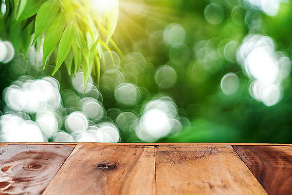 포토 JPG 해외이미지 나무 디자인 공원 포스터 안경 백그라운드 컨셉 잎 패턴 비즈니스 텍스트 자연 탁자 성공 표면 추상 풍경 사람없음 야외 목재 초록색 여름 빛 사무실 갈색 우주 정원 거친 숲 천 사인 질감 비전 해결 내추럴 업그레이드 옛날 목차 2017년 해외202008 해외포토 식물 잡화 계절 공공시설 컬러 가구 무늬 재료 직물 연도 생태계 파일형식