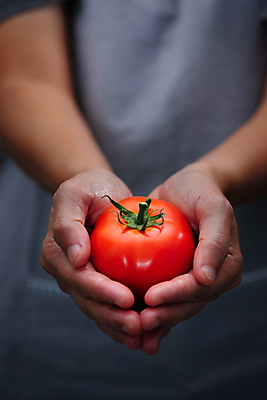 포토 JPG 해외이미지 식물 전통 손 계절 음료 음식 농업 다이어트 토마토 채소 재료 자연 건강 요리 사람 사람없음 빨간색 세로 초록색 정원 식사 어둠 수확 시골 신선 잡기 맛 농부 수집 허브 상쾌 유기농 날것 레시피 비타민 내추럴 숙성 스무디 식용 정물화 채식주의자 맛있는 해외202008 해외포토 직업 웰빙 감정 산업 컬러 컨셉 모션 신체부위 그림 생태계 채식 영양소 파일형식
