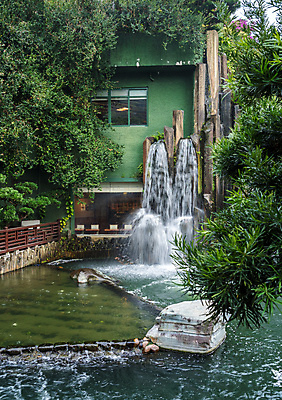 포토 JPG 해외이미지 식물 공원 종교 불교 자연 사람없음 평화 식당 중국 폭포 카페 연못 도시 지역 홍콩 해외202008 해외포토 공공시설 아시아 컨셉 상점 생태계 파일형식