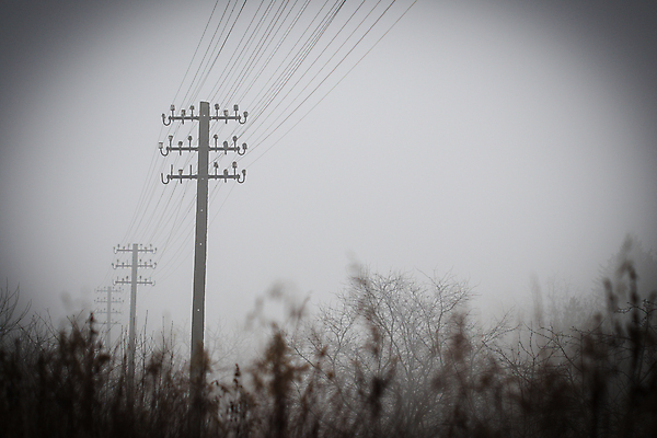 포토 JPG 해외이미지 선 통신 날씨 사람없음 전선 수확 안개 네트워크 연결 접속 전화기 철사 부름 봉 소통 뿌연 옛날 콘크리트 해외202008 해외포토 컨셉 농업 모션 파일형식