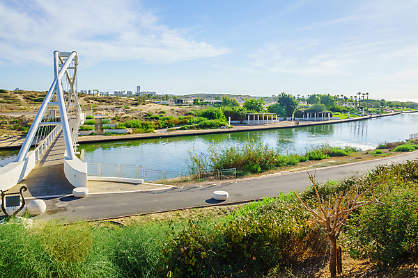 포토 JPG 해외이미지 나무 공원 중동 하늘 손바닥 사람없음 초록색 물 강 환경 산책로 개울 지중해 이스라엘 해외202008 해외포토 자연요소 식물 손 공공시설 나라 길 바다 컬러 서아시아 파일형식