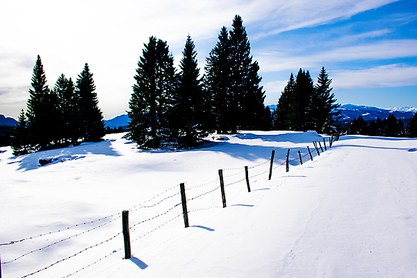 포토 JPG 해외이미지 나무 구름 계절 유럽 여행 백그라운드 크리스마스 겨울 자연 하늘 날씨 휴가 새로움 산 파노라마 풍경 사람없음 야외 목재 초록색 파란색 빛 환경 맑음 냉동 얼음 이탈리아 추위 흰색 나뭇가지 소나무 숲 12월 연도 언덕 서리 장면 내추럴 폭설 눈내림 해외202008 해외포토 자연요소 식물 기념일 나라 컬러 컨셉 재료 눈_날씨 촬영기법 날짜 자연재해 생태계 파일형식
